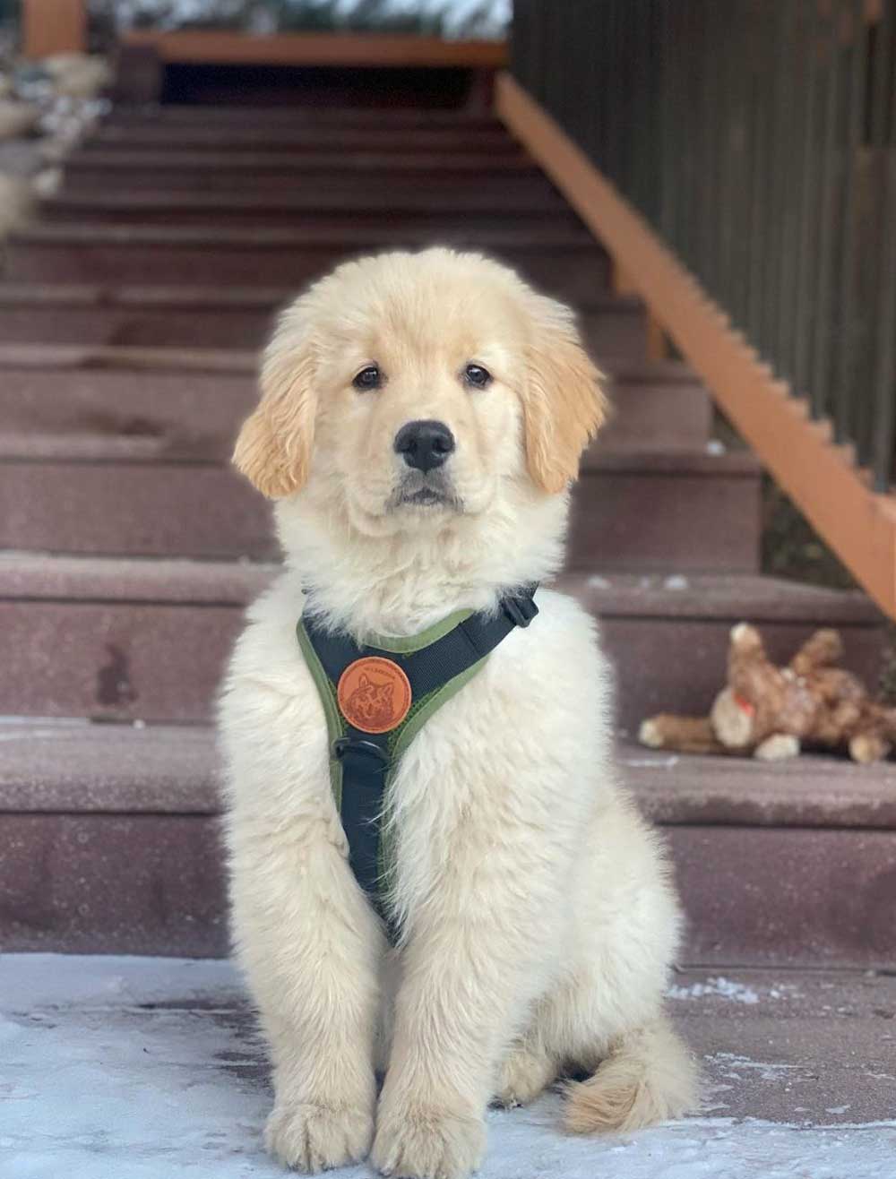 Brixton Sitting gently by the stairs