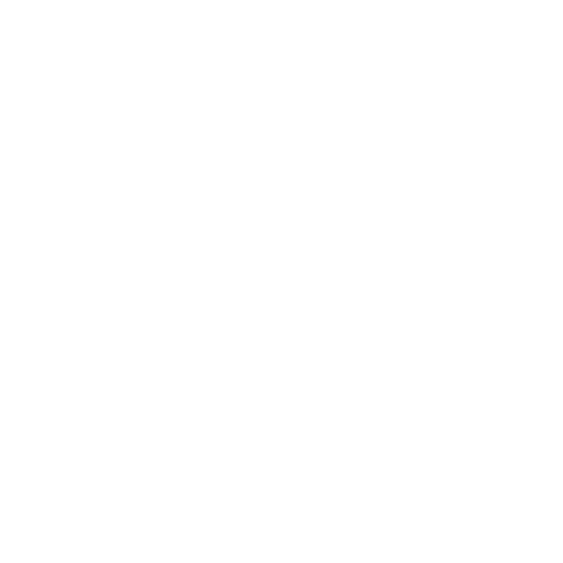 Checks-Icon Checks Icon