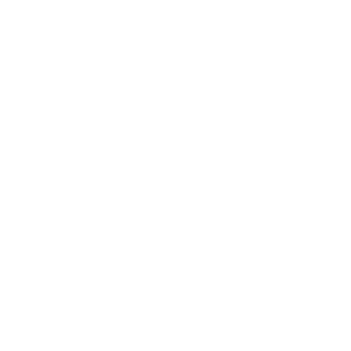 Apple Pay Icon Checks Icon
